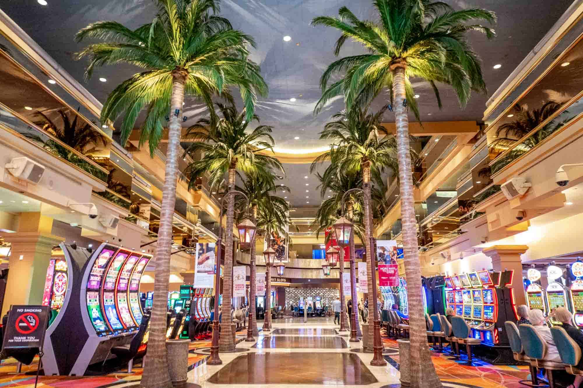 Kazanma Ritimini Yakalayan Destansı Poker Oyuncuları